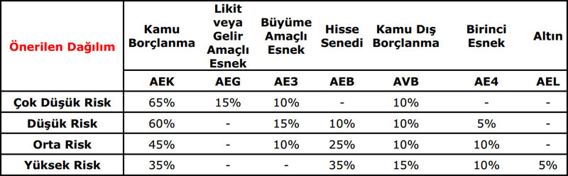 vakıf fon hisse